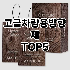 고급차량용방향제 추천 TOP5 가성비최고