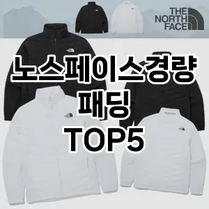 노스페이스경량패딩 추천 TOP5 핫딜 아이템