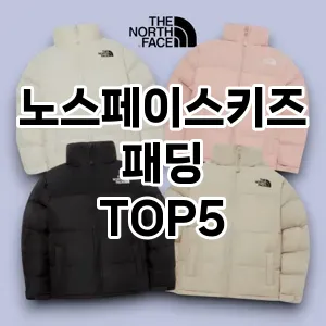노스페이스키즈패딩 추천 TOP5 가장핫한아이템