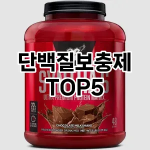 단백질보충제 추천 TOP5 강력 추천