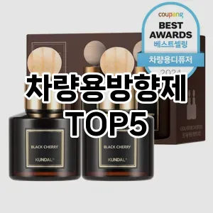 차량용방향제 추천 TOP5 품질 보장