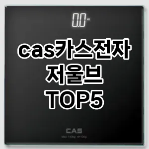 cas카스전자저울브 추천 TOP5 강력 추천