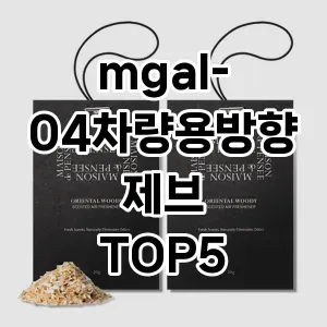 mgal-04차량용방향제브 추천 TOP5 핫딜 아이템
