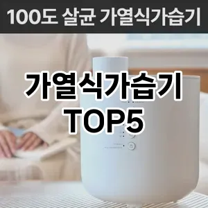 가열식가습기 추천 TOP5 가성비최고