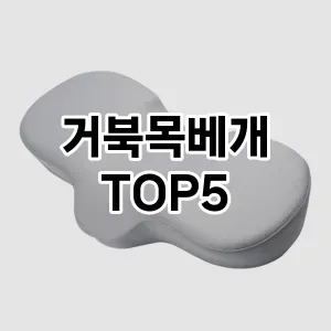 거북목베개 추천 TOP5 강력 추천