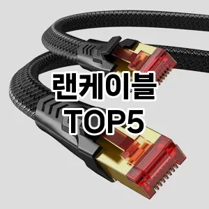 랜케이블 추천 TOP5 가성비최고