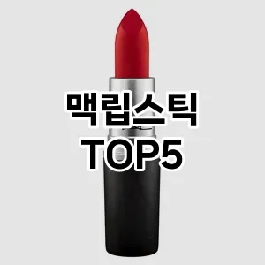 맥립스틱 추천 TOP5 가성비최고