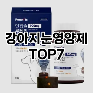 강아지눈영양제 추천 TOP7