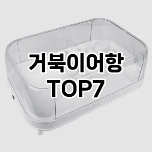 거북이어항 추천 TOP7
