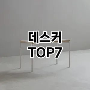 데스커 추천 TOP7
