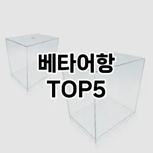 베타어항 추천 TOP5 사용자 만족