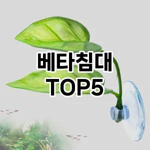 베타침대 추천 TOP5 인기아이템