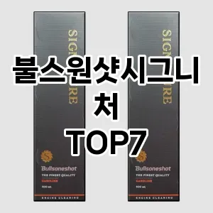 불스원샷시그니처 추천 TOP7