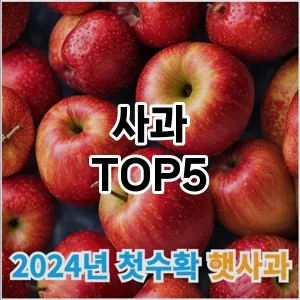 사과 추천 TOP5 인기아이템