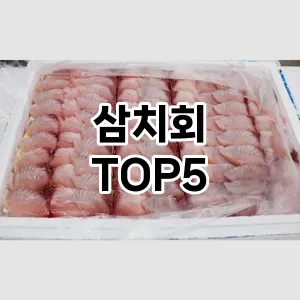 삼치회 추천 TOP5 사용자 만족