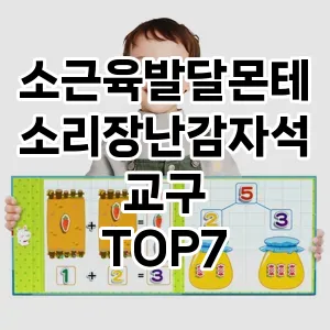 소근육발달몬테소리장난감자석교구 추천 TOP7