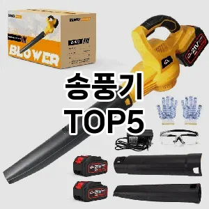 송풍기 추천 TOP5 인기 추천