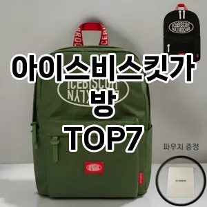 아이스비스킷가방 추천 TOP7
