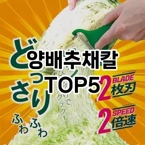 양배추채칼 추천 TOP5 가성비최고