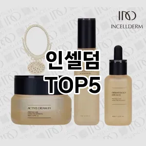 인셀덤 추천 TOP5 인기
