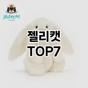 젤리캣 추천 TOP7