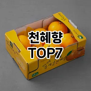 천혜향 추천 TOP7