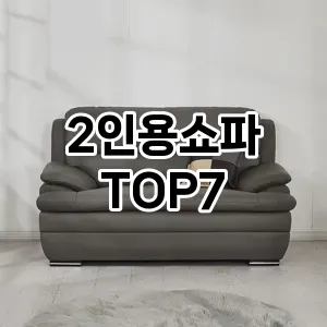 2인용쇼파 추천 TOP7