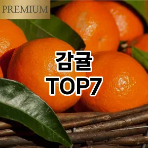 감귤 추천 TOP7
