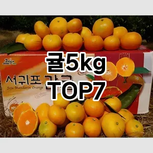 귤5kg 추천 TOP7