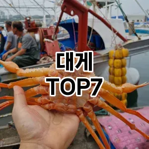 대게 추천 TOP7