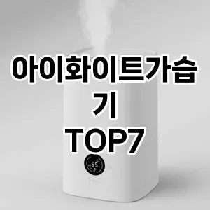 아이화이트가습기 추천 TOP7
