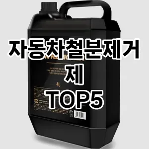 자동차철분제거제 추천 TOP5 인기