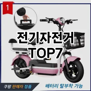 전기자전거 추천 TOP7