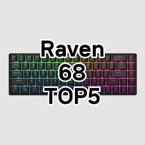 게이밍 기계키보드 Raven 68 추천